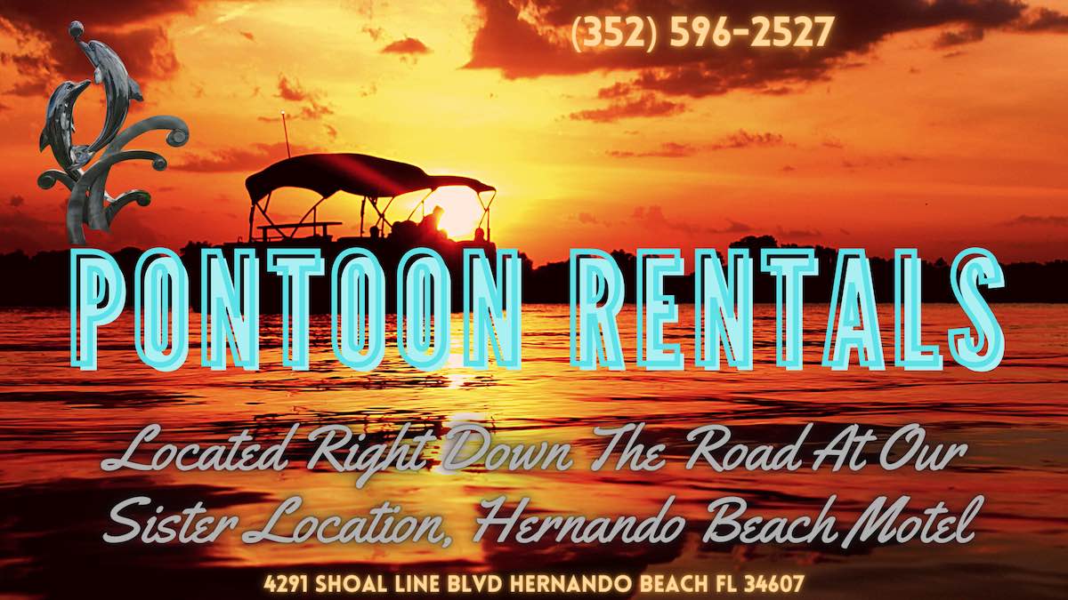 Silver Dolphin Pontoon Rental Banner