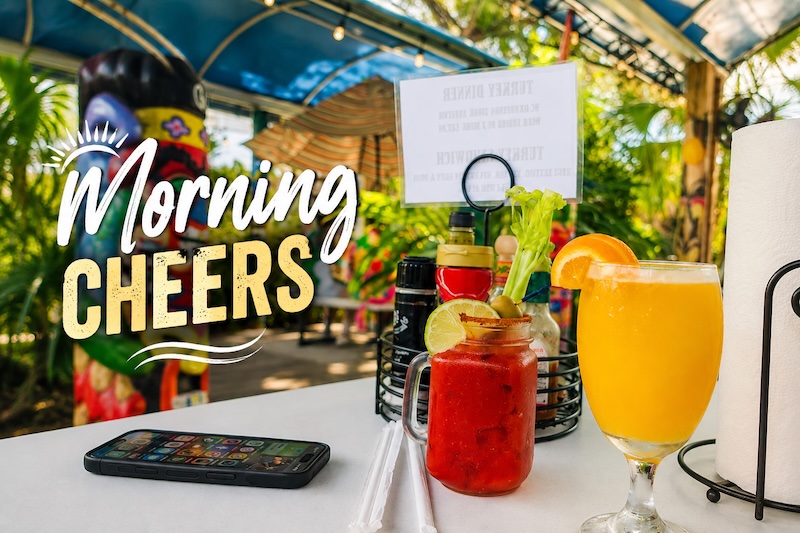 Morning Cheers Silver Dolphin
